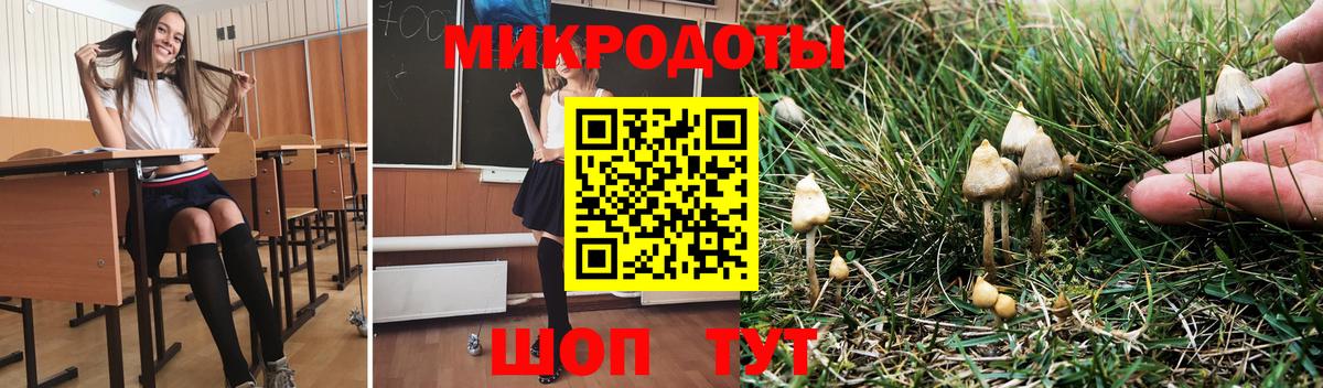 Псилоцибиновые грибы MAGIC MUSHROOMS  Вход с VPN  Сергиев Посад  Псилоцибиновые грибы мицелий 